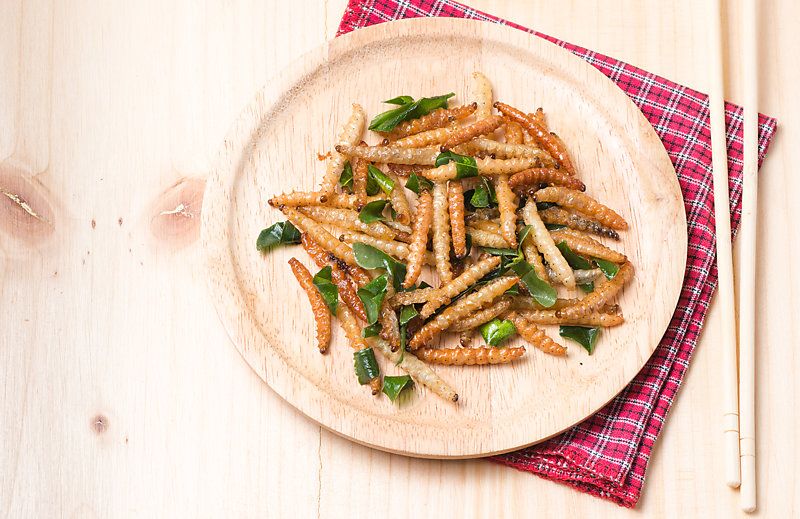 Bamboo caterpillars fried on a wood dish.