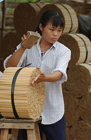 A Vietnamese worker pounds freshly cut bamboo chopsticks in chopstick factory, in Vietnam.
